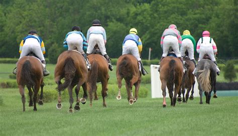 william hill grand national